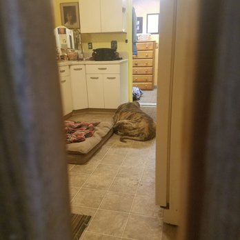 Sugarland Ranch - Pet Sitting Near Me - Reno, Nevada