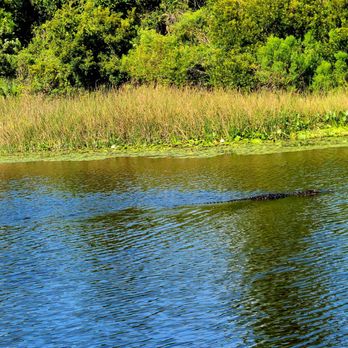 Boca Ciega Millennium Park - Parks Near Me - Seminole, Florida