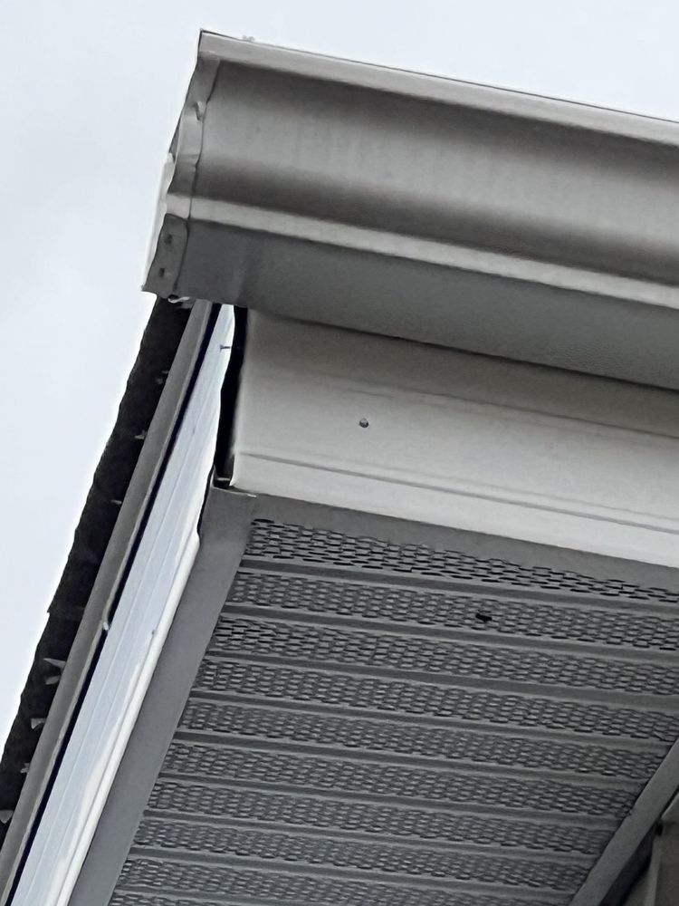 ELEMENT ROOFING Updated September 2024 19 Photos 16083 Whitehead Dr, Linden, Michigan