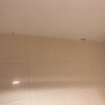 Courtyard Rockford - More black mold different room. - Hotels Near Me - Rockford, Illinois Courtyard Rockford - More black mold different room. - Hotels Near Me - Rockford, Illinois