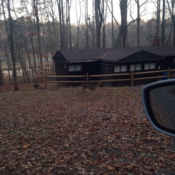 Tanglewood Park - One of the cabins and a deer grazing - Parks Near Me - Clemmons, North Carolina