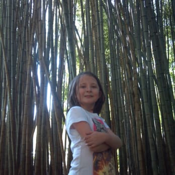 Oconaluftee Islands Park - Kids love bamboo forests. - Parks Near Me - Cherokee, North Carolina