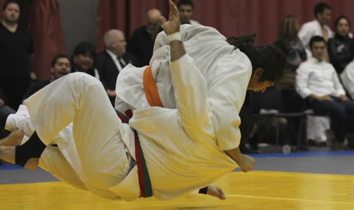 High Impact Martial Arts Logo