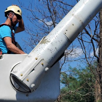 Franky's Tree Care - Can handle trees of any size - Tree Services Near Me Franky's Tree Care - Can handle trees of any size - Tree Services Near Me