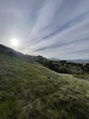 Ring Mountain Preserve by null