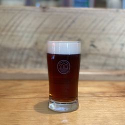 Quintopia Brewing Co - Nitro Pub Ale