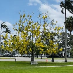 Bradley Park