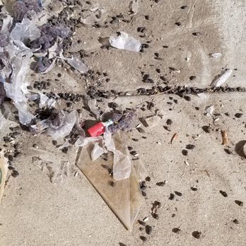 AAA All American Self Storage - Fontana - Piece of poop straight hit my face - Self Storage Near Me - Fontana, California AAA All American Self Storage - Fontana - Piece of poop straight hit my face - Self Storage Near Me - Fontana, California