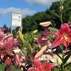 Knecht's Nurseries & Landscaping