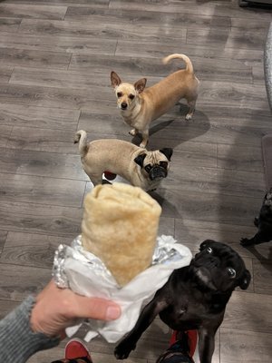 Bad Hombre Tacos by null