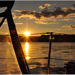 Black Swan Sailing