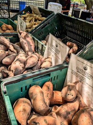 Wicker Park Farmers Market by null