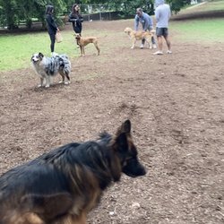 Milago - If you want to watch off-leash dogs and listen to them bark all day from your balcony - The Milago is perfect for you!