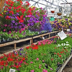 Gateway Design and Home - Gateway Garden Greenhouse Loveland Colorado