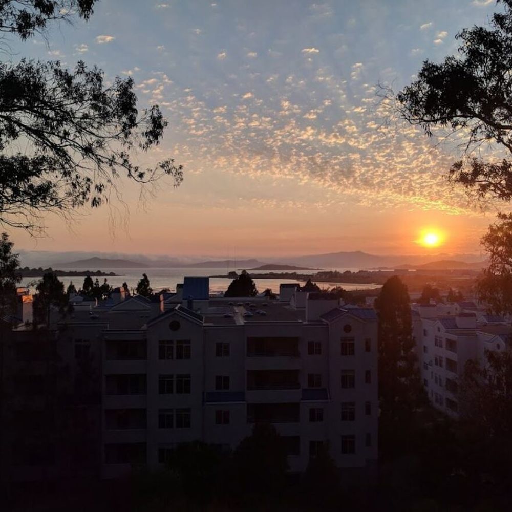 TOP 10 BEST Craigslist Apartments in Albany, CA - Updated 2026 - Yelp