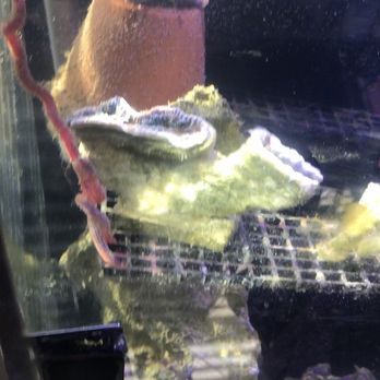 Petco - Pet Training Near Me - Homestead, Florida