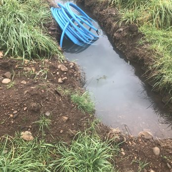 Moose Construction - Excavation Services Near Me