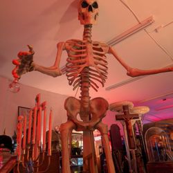 Anatomy of Death Museum - A huge skeleton