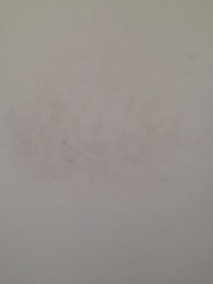 Karen Kurzdorfer, CHARLES RUTENBERG REALTY INC by null