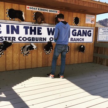 Rooster Cogburn Ostrich Ranch - Petting Zoos Near Me - Picacho, Arizona Rooster Cogburn Ostrich Ranch - Petting Zoos Near Me - Picacho, Arizona