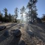 Photo of Woodland Interpretive Trail