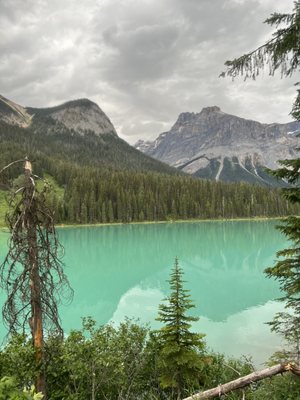 Mount Burgess Dining Room at Emerald Lake Lodge by null