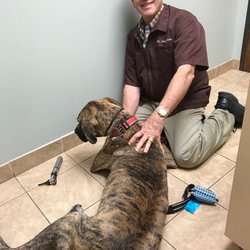 Grand Parkway Animal Hospital - "Dr Closs is so gentle with me, I love visiting!" -Smudges