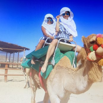 Cactus Tours - Riding Monica - Tours Near Me - Cabo San Lucas, BCS Cactus Tours - Riding Monica - Tours Near Me - Cabo San Lucas, BCS
