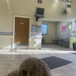 Norwin Veterinary Hospital - Lobby