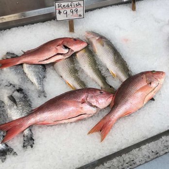 Woodlands Seafood - Seafood Markets Near Me - Spring, Texas