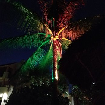 Fusion - Beach Bars Near Me - Playa del Carmen, ROO