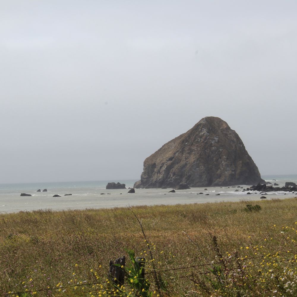 Mattole Road - Huge rock just offshore. - Local Flavor Near Me - Ferndale, California Mattole Road - Huge rock just offshore. - Local Flavor Near Me - Ferndale, California
