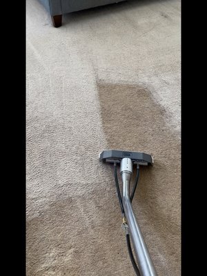 Carpet Cleaning! - Revitalize your home with our professional carpet steaming services! Say goodbye to stubborn stains and odors as our expert team employs advanced steam cleaning techniques to restore the vibrancy and freshness of your carpets. Our eco-friendly approach ensures a deep, thorough cleanse without harsh chemicals. Experience the luxury of walking on impeccably clean carpets and create a healthier living environment for your loved ones. Trust us for unparalleled carpet steaming that goes beyond the surface, leaving your floors looking and feeling as good as new. Schedule your appointment today and let the transformative power of steam bring your carpets back to life! Carpet Cleaning! - Revitalize your home with our professional carpet steaming services! Say goodbye to stubborn stains and odors as our expert team employs advanced steam cleaning techniques to restore the vibrancy and freshness of your carpets. Our eco-friendly approach ensures a deep, thorough cleanse without harsh chemicals. Experience the luxury of walking on impeccably clean carpets and create a healthier living environment for your loved ones. Trust us for unparalleled carpet steaming that goes beyond the surface, leaving your floors looking and feeling as good as new. Schedule your appointment today and let the transformative power of steam bring your carpets back to life!