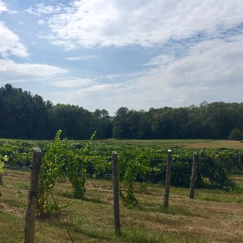 Verde Vineyards - Gorgeous - Wineries Near Me - Johnston, Rhode Island