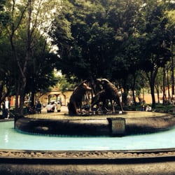 Parque Hidalgo - Los coyotes
