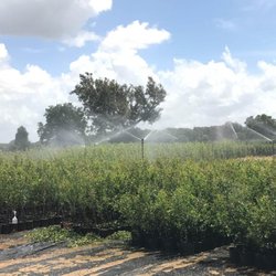Moon Valley Nurseries