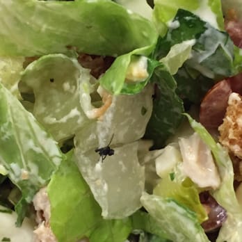 Chopt Creative Salad Co. - Disgusting fly..... Lettuce was not properly clean. Discovered half way - Salad Near Me - New York, New York