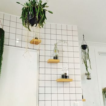 Le Tricycle - Vegan Near Me - Paris, 75