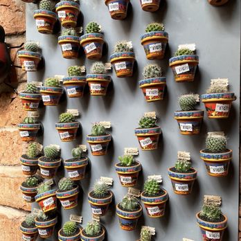 Son Silver West - Art Galleries Near Me - Sedona, Arizona