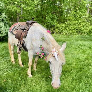 Hogback Mountain Pony Rides - Party Equipment Rentals Near Me - Leesburg, Virginia Hogback Mountain Pony Rides - Party Equipment Rentals Near Me - Leesburg, Virginia