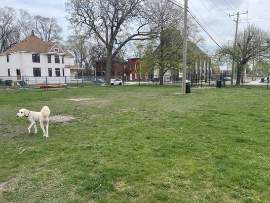 Detroit Dog Park by null