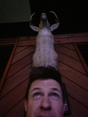 Barlow Tavern by null