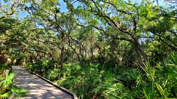 Boca Ciega Millennium Park by null