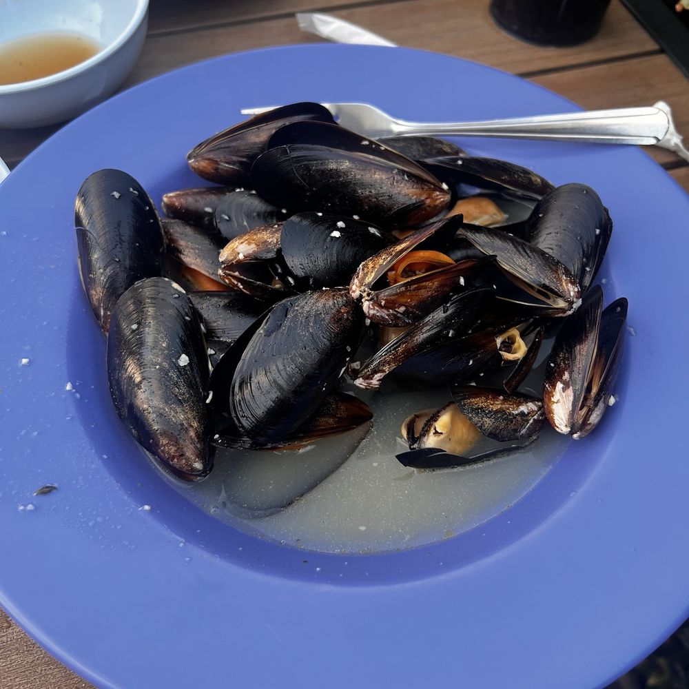 Steamed Mussels Steamed Mussels