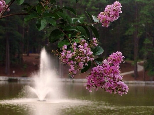 Alexander Park by null