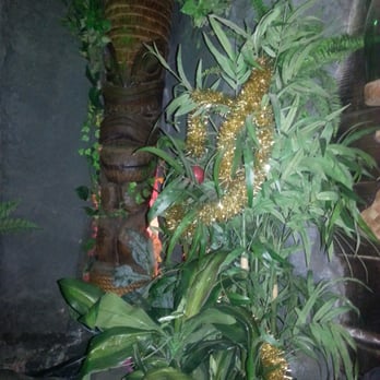 Forbidden Island - Tiki Bars Near Me - Alameda, California