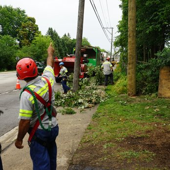 Advanced Tree Care - Utility clearing - Tree Services Near Me - Lincolnshire, Illinois Advanced Tree Care - Utility clearing - Tree Services Near Me - Lincolnshire, Illinois