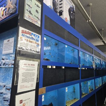 Whitie's Pets - Local Fish Stores Near Me - Fresno, California