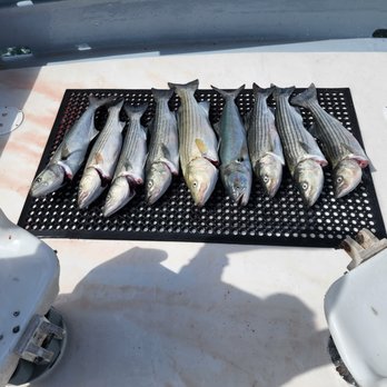 Adventure Charters - Fishing Near Me - Narragansett, Rhode Island