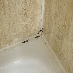 Holiday Inn Casa Grande - Black mold